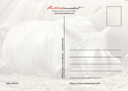 T006 Photo: Baby Rhino (bundle x 5 pieces) - top quality approved by www.postcardsmarket.com specialists