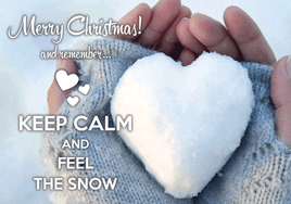 Photo: Keep calm and feel the snow (bundle x 5 pieces) - top quality approved by www.postcardsmarket.com specialists