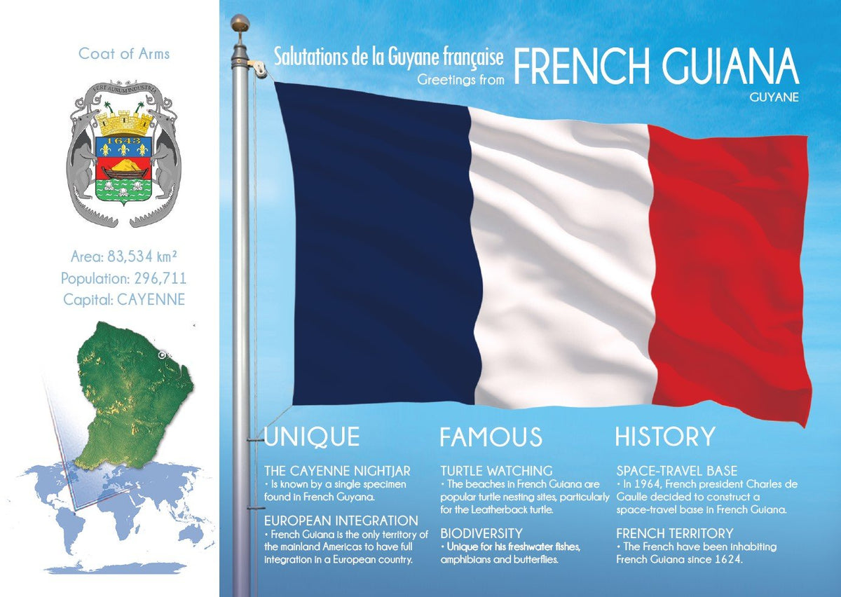 French Guiana Flag Overseas Provinces Of France Graphic Custom