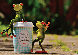 Happy Frog - Postcards Market