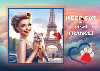 Fantasy Art - 10. Keep the Cat and Visit - France _v2 postcard