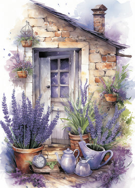 Postcard - Lavender Yard (DL64)
