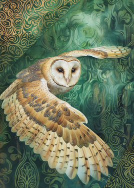 Postcard - White Owl (DL46)