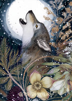 The Dutch Lady Design: The Dark of Winter 10 Postcards Set