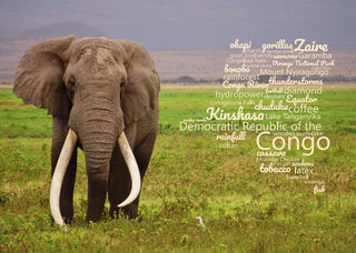 Word Cloud Photo: D.R. Congo (elephant) view postcard