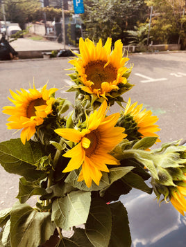 R012 Foto: Sonnenblume – ideal für Maxikarte