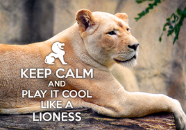Foto von : Keep Calm and Play it cool like a Lioness