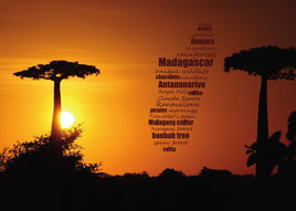 Word Cloud Photo: Madagascar