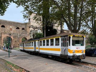 Photo P44: Roma (IT), Tram ID 425, 2021