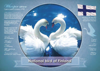 HB16 National Bird of Finland (bundle of 5 cards)