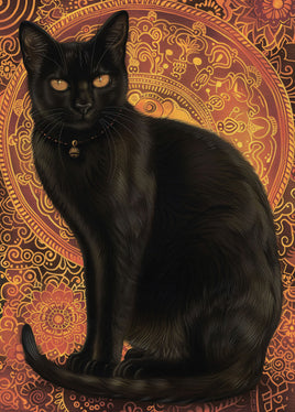 Postcard -  Black Cat Orange Background (DL14)