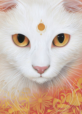 Postcard - White Cat (DL44)
