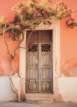 Postcard - Door (DL67)