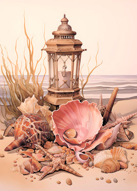 Postcard - Seashells (DL30)