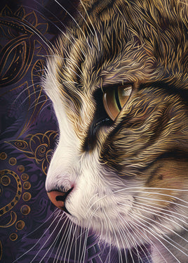 Postcard - Guardian (DL63)