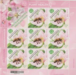 * Stamps | Moldova 2020 - International Year of Plant Health