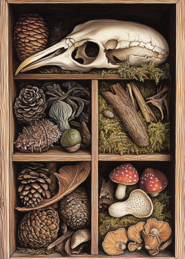 Postcard - Mushrooms Model 2 (DL83)