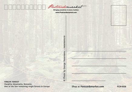 Photo: 5X Virgin Forrest - UNESCO list like (bundle of 5 cards) - top quality approved by www.postcardsmarket.com specialists