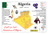 AFRICA | Algeria MOTW - top quality approved by www.postcardsmarket.com specialists
