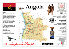 AFRICA | Angola MOTW - top quality approved by www.postcardsmarket.com specialists