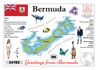
              North America | Bermuda MOTW - top quality approved by www.postcardsmarket.com specialists
            