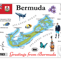 North America | Bermuda MOTW - top quality approved by www.postcardsmarket.com specialists