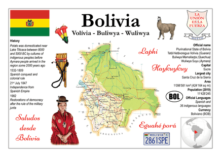South America | Bolivia MOTW - top quality approved by www.postcardsmarket.com specialists