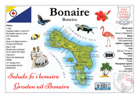 South America | Bonaire MOTW - top quality approved by www.postcardsmarket.com specialists