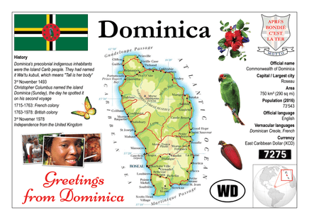 North America | Dominica MOTW - top quality approved by www.postcardsmarket.com specialists