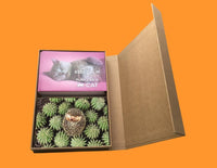 Postcard Collection Postcrosser special BOX with magnet - top quality approved by Postcards Market specialists