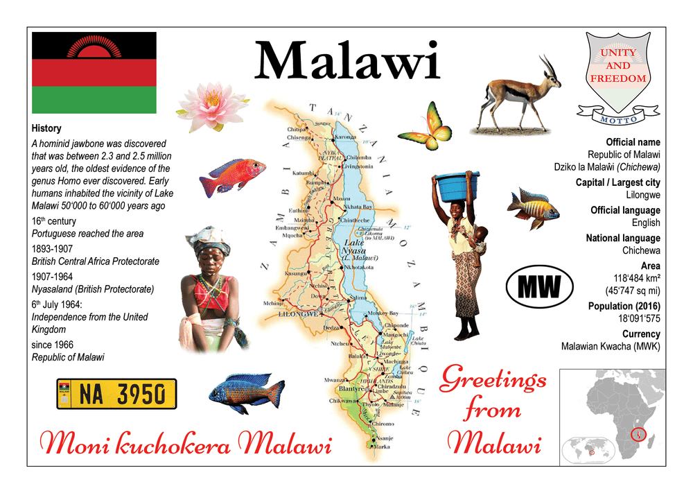 AFRICA | Malawi MOTW - top quality approved by www.postcardsmarket.com specialists
