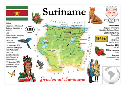 South America | Suriname - MOTW - top quality approved by www.postcardsmarket.com specialists