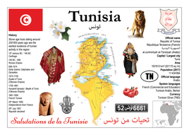 AFRICA | Tunisia MOTW - top quality approved by www.postcardsmarket.com specialists