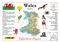 Europe | Wales MOTW - top quality approved by www.postcardsmarket.com specialists