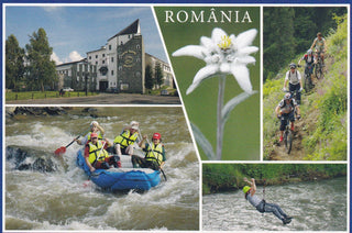 Market Corner: Bundle of 5 x LAD Romania - Bistrita Nasaud - top quality approved by www.postcardsmarket.com specialists