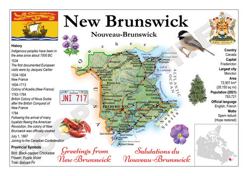 North America | 5x CANADA Provinces - New Brunswick MOTW x 5pieces - top quality approved by www.postcardsmarket.com specialists