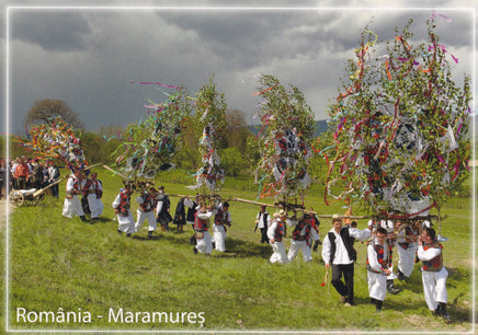 Market Corner: Bundle of 3 x LAD Romania - Maramures Rural traditions in Horeni VL 325-20 - top quality approved by www.postcardsmarket.com specialists