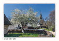 Market Corner: Bundle of 3 x LAD Romania - Bucharest - The Village Museum spring time - top quality approved by www.postcardsmarket.com specialists