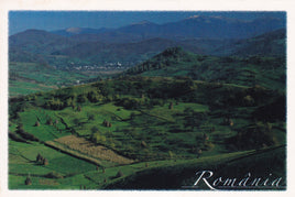 Market Corner: Bundle of 5 x LAD Romania - Maramures - Autumn in Valeni - top quality approved by www.postcardsmarket.com specialists