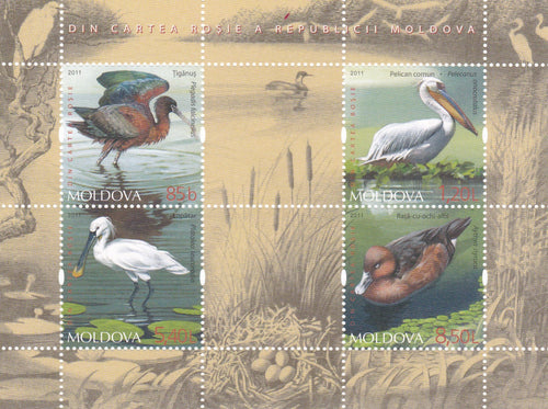 * Stamps | Moldova 2011 Birds 