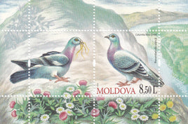 * Stamps | Moldova 2010 Birds "Pigeon" - top quality approved by www.postcardsmarket.com specialists
