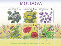 * Stamps | Moldova 2009 - Spontan Flora, Poppies - top quality approved by www.postcardsmarket.com specialists