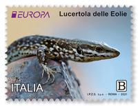 Stamps - Italy Europa 2021 Stamps Endangered National Wildlife - top quality approved by Postcards Market specialists