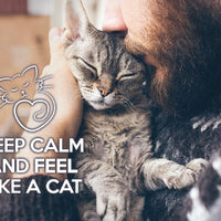 Photo: Keep Calm and feel like a cat (bundle x 5 pieces) - top quality approved by www.postcardsmarket.com specialists