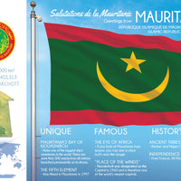 AFRICA | Mauritania - FW (country No. 125) - top quality approved by www.postcardsmarket.com specialists