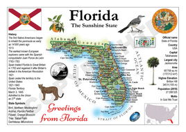 North America | U.S. Constituent - FLORIDA (MOTW US) - top quality approved by www.postcardsmarket.com specialists