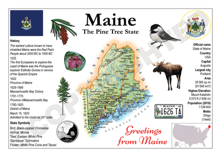 North America | U.S. Constituent - MAINE (MOTW US) - top quality approved by www.postcardsmarket.com specialists