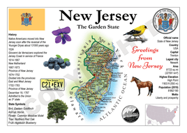 North America | U.S. Constituent - NEW JERSEY (MOTW US) - top quality approved by www.postcardsmarket.com specialists