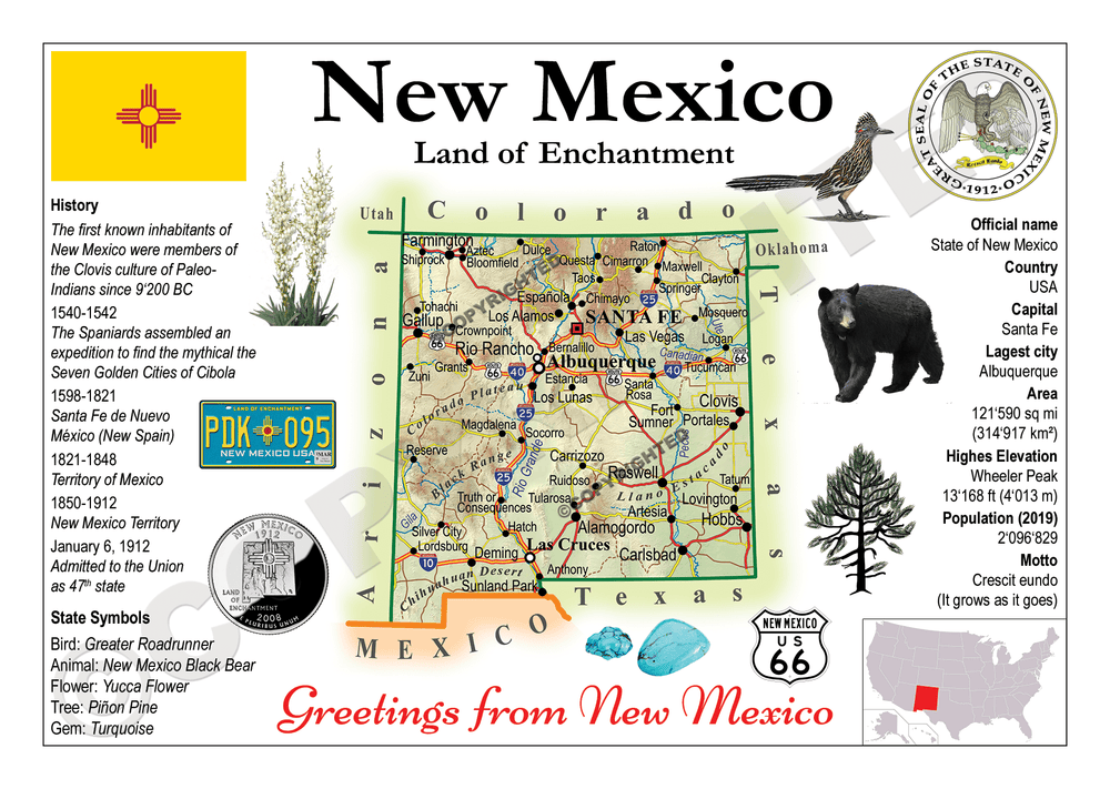 North America | U.S. Constituent - NEW MEXICO (MOTW US) - top quality approved by www.postcardsmarket.com specialists
