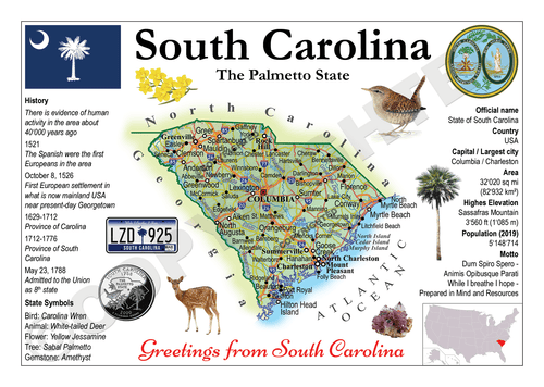 North America | U.S. Constituent - SOUTH CAROLINA (MOTW US) - top quality approved by www.postcardsmarket.com specialists